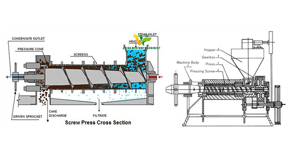 Cottonseed Oil Press Machine - OIL PRESS MACHINE - Henan Ocean ...